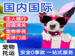 富蕴可可托海航空货运国际宠物托运 【国